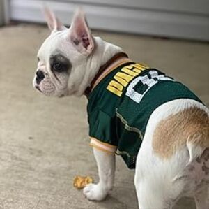 NWOT NFL Green Bay Packers Jersey